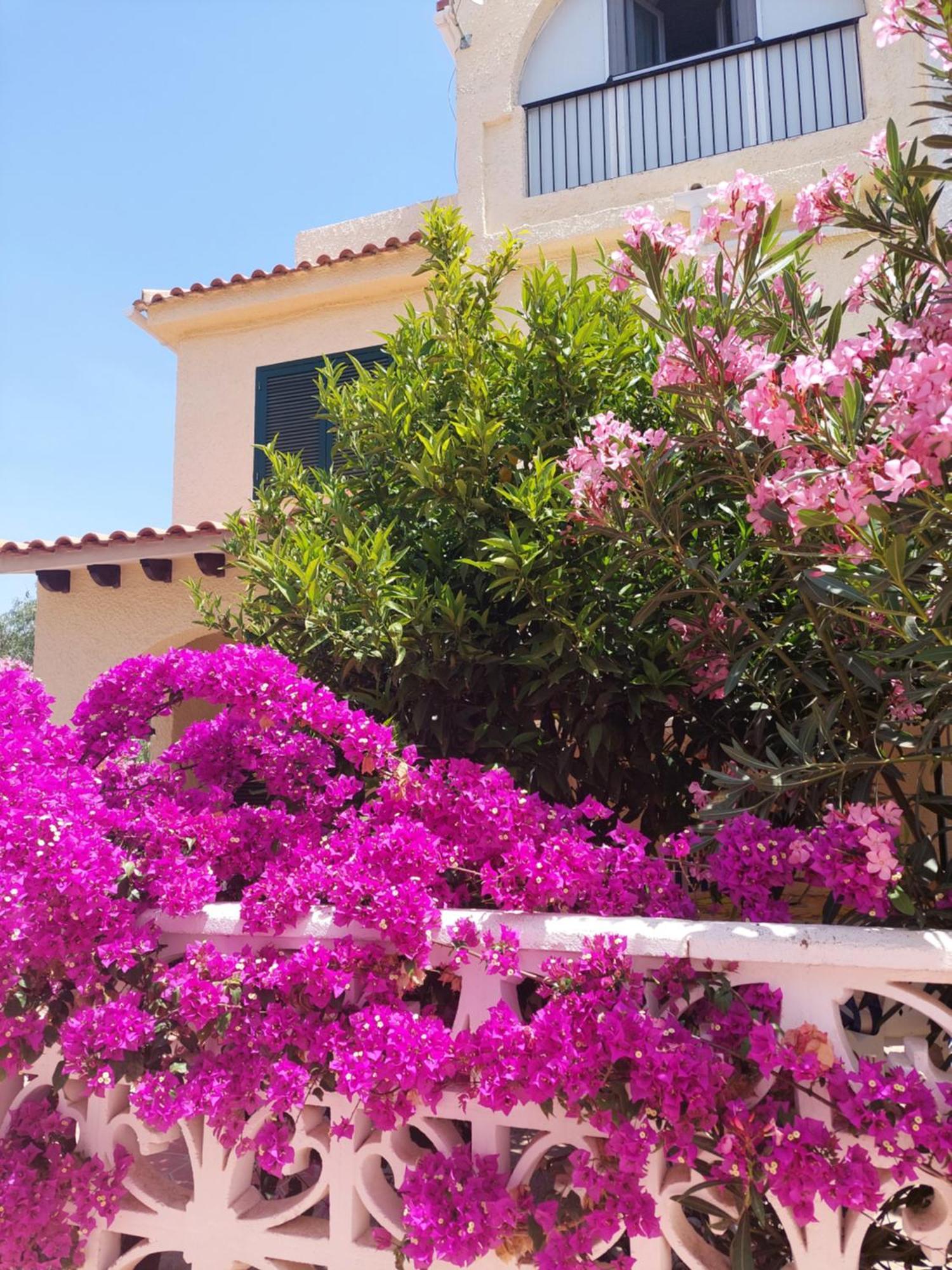 Haus Am Meer Torrevieja Exteriér fotografie